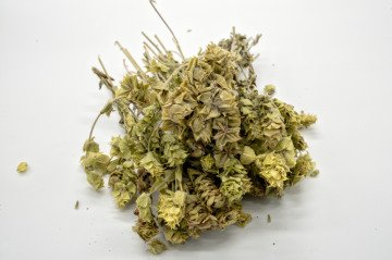 Gazipaşa Adaçayı (Bağ)